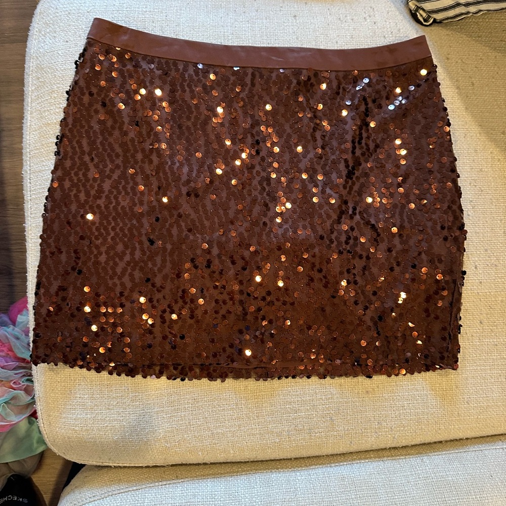 Women’s Size 10 Petite Banana Republic Skirt